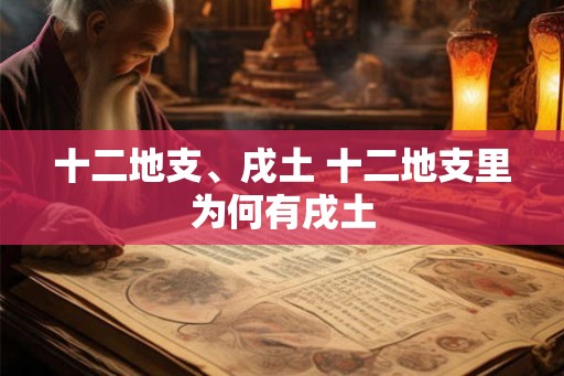 十二地支、戌土 十二地支里为何有戌土