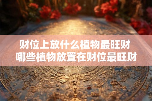 财位上放什么植物最旺财 哪些植物放置在财位最旺财 财位上放什么植物最旺财 哪些植物放置在财位最旺财