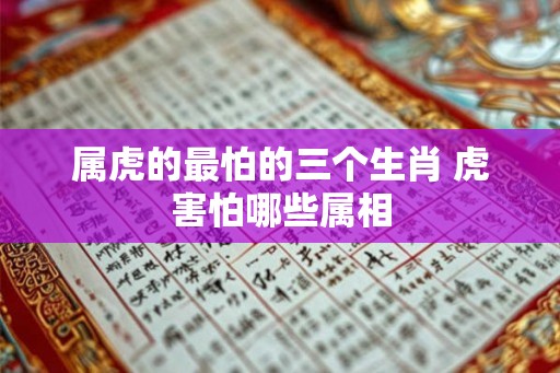 属虎的最怕的三个生肖 虎害怕哪些属相