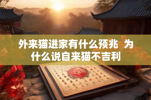外来猫进家有什么预兆  为什么说自来猫不吉利
