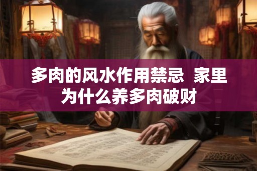 多肉的风水作用禁忌  家里为什么养多肉破财