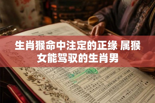 生肖猴命中注定的正缘 属猴女能驾驭的生肖男