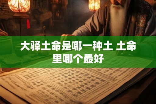 大驿土命是哪一种土 土命里哪个最好