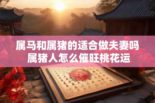 属马和属猪的适合做夫妻吗 属猪人怎么催旺桃花运