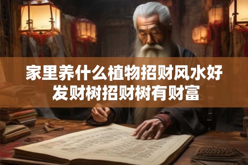 家里养什么植物招财风水好 发财树招财树有财富