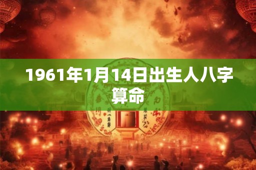 1961年1月14日出生人八字算命