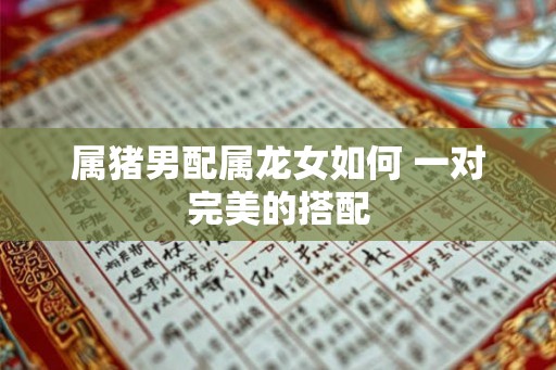 属猪男配属龙女如何 一对完美的搭配 属猪男配属龙女如何 一对完美的搭配
