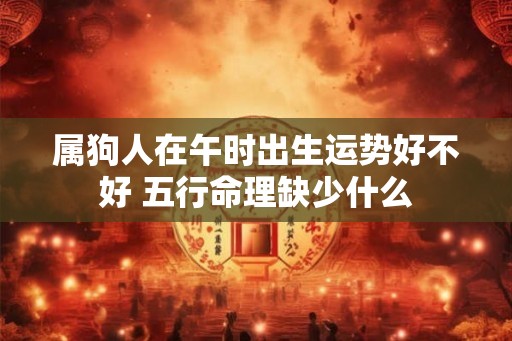 属狗人在午时出生运势好不好 五行命理缺少什么