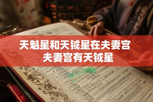 天魁星和天钺星在夫妻宫  夫妻宫有天钺星