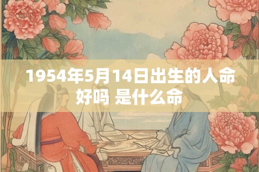1954年5月14日出生的人命好吗 是什么命