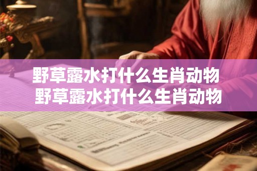 野草露水打什么生肖动物 野草露水打什么生肖动物