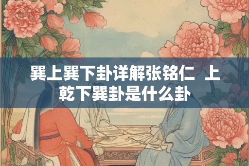 巽上巽下卦详解张铭仁  上乾下巽卦是什么卦