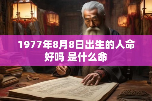 1977年8月8日出生的人命好吗 是什么命