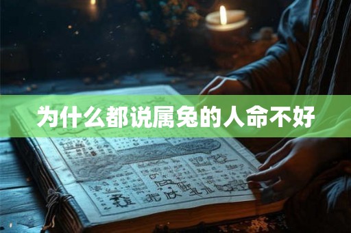 为什么都说属兔的人命不好