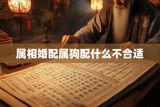 属相婚配属狗配什么不合适 属相婚配属狗配什么不合适