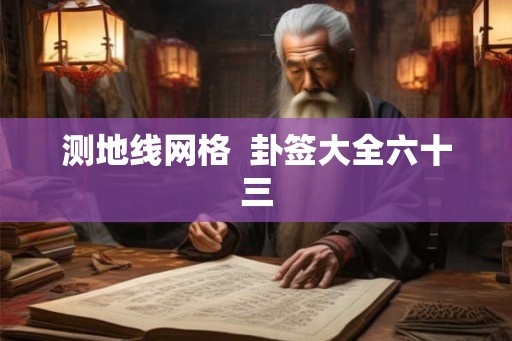 测地线网格  卦签大全六十三