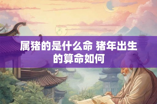 属猪的是什么命 猪年出生的算命如何 属猪的是什么命 猪年出生的算命如何