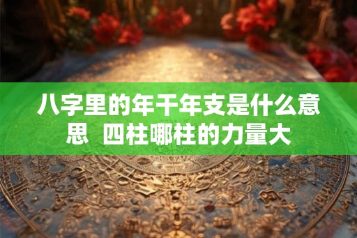 八字里的年干年支是什么意思  四柱哪柱的力量大