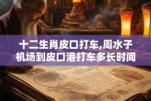 十二生肖皮口打车,周水子机场到皮口港打车多长时间能到