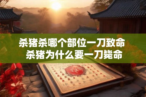 杀猪杀哪个部位一刀致命  杀猪为什么要一刀毙命
