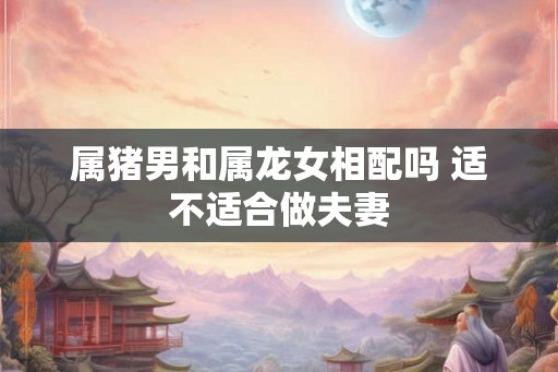属猪男和属龙女相配吗 适不适合做夫妻