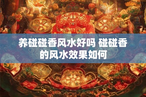 养碰碰香风水好吗 碰碰香的风水效果如何 养碰碰香风水好吗 碰碰香的风水效果如何