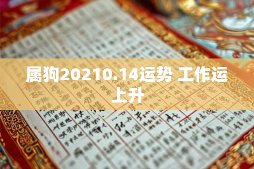 属狗20210.14运势 工作运上升