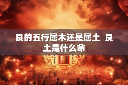 艮的五行属木还是属土  艮土是什么命