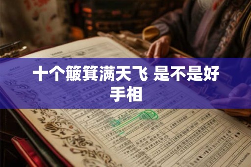 十个簸箕满天飞 是不是好手相