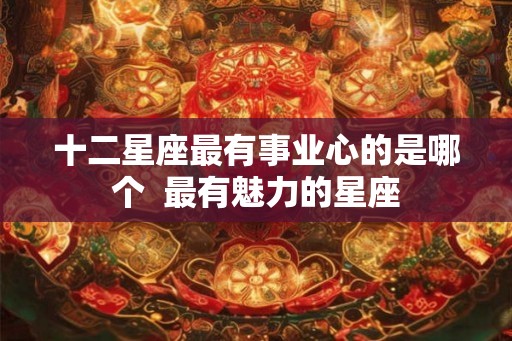 十二星座最有事业心的是哪个  最有魅力的星座