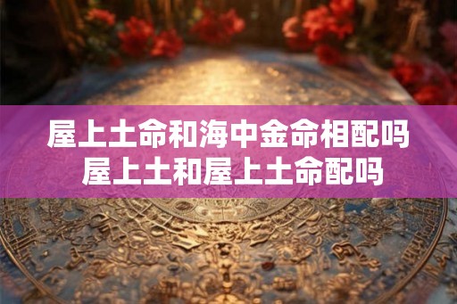 屋上土命和海中金命相配吗 屋上土和屋上土命配吗 屋上土命和海中金命相配吗 屋上土和屋上土命配吗