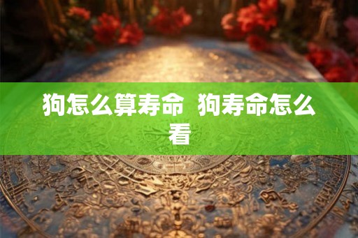 狗怎么算寿命  狗寿命怎么看