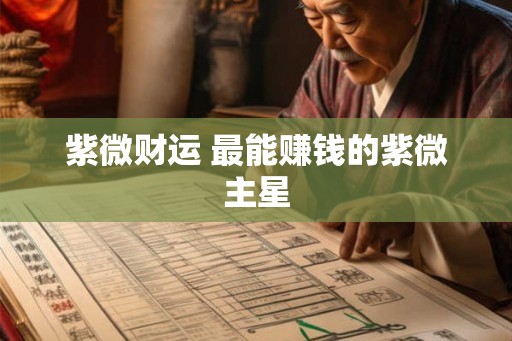 紫微财运 最能赚钱的紫微主星