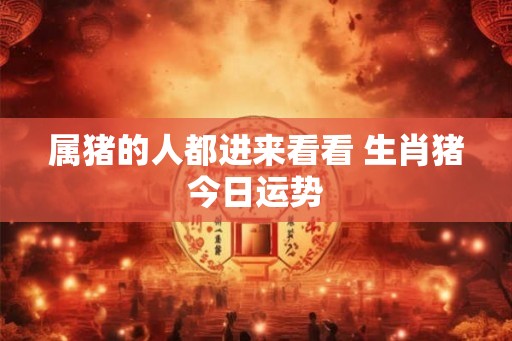 属猪的人都进来看看 生肖猪今日运势