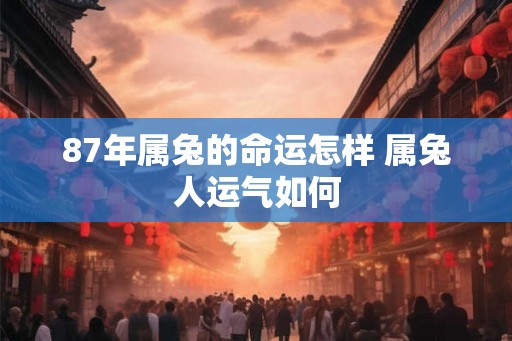 87年属兔的命运怎样 属兔人运气如何 87年属兔的命运怎样 属兔人运气如何