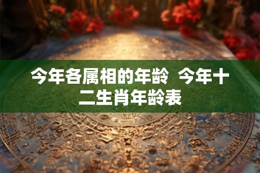 今年各属相的年龄  今年十二生肖年龄表