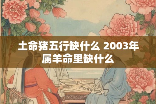 土命猪五行缺什么 2003年属羊命里缺什么