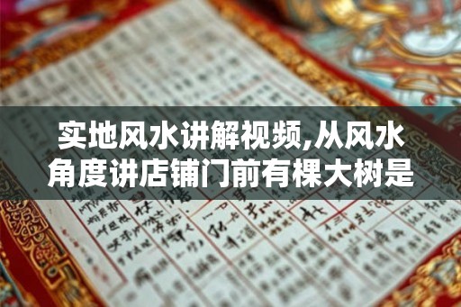 实地风水讲解视频,从风水角度讲店铺门前有棵大树是好是坏