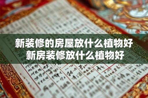 新装修的房屋放什么植物好 新房装修放什么植物好