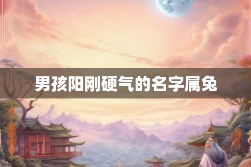 男孩阳刚硬气的名字属兔