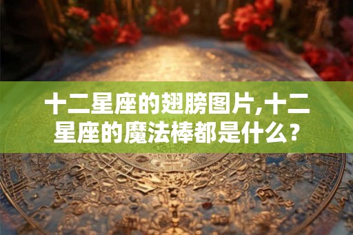 十二星座的翅膀图片,十二星座的魔法棒都是什么？