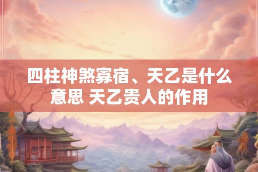 四柱神煞寡宿、天乙是什么意思 天乙贵人的作用