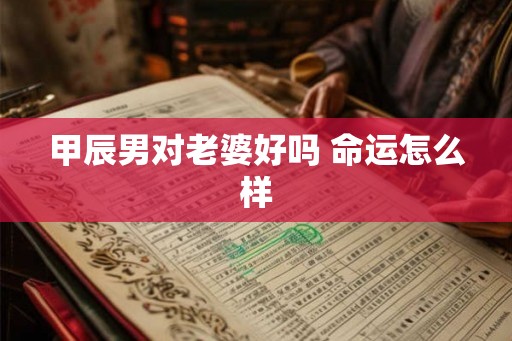 甲辰男对老婆好吗 命运怎么样