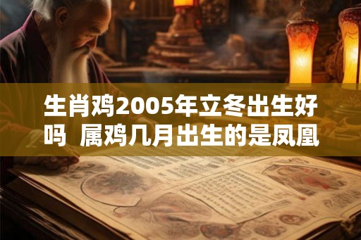 生肖鸡2005年立冬出生好吗  属鸡几月出生的是凤凰命