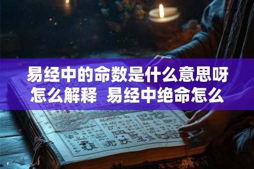 易经中的命数是什么意思呀怎么解释  易经中绝命怎么解释