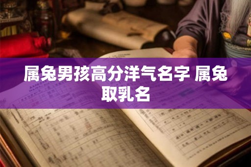 属兔男孩高分洋气名字 属兔取乳名