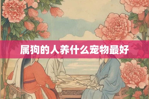 属狗的人养什么宠物最好