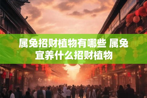 属兔招财植物有哪些 属兔宜养什么招财植物 属兔招财植物有哪些 属兔宜养什么招财植物