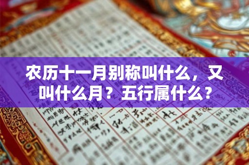 农历十一月别称叫什么，又叫什么月？五行属什么？
