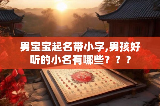 男宝宝起名带小字,男孩好听的小名有哪些？？？